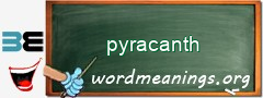 WordMeaning blackboard for pyracanth